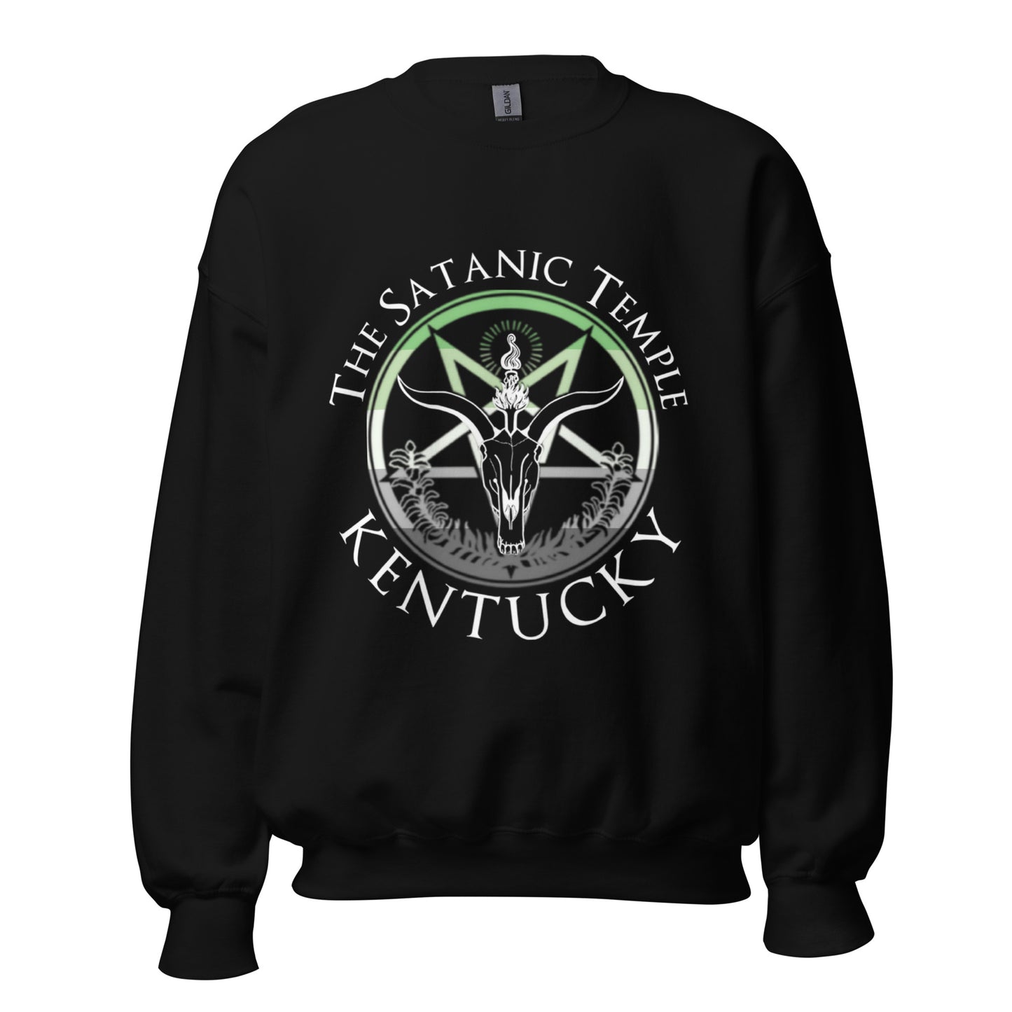 Aromantic Unisex Sweatshirt